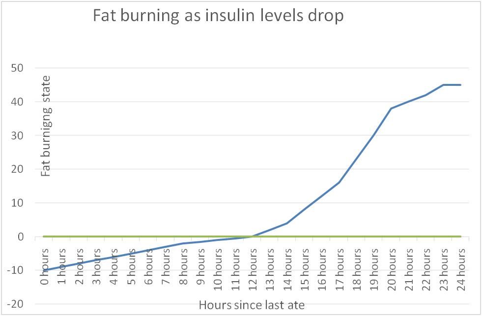 insulin 2